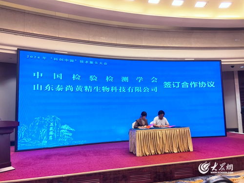 2024年科創(chuàng)中國(guó)技術(shù)服務(wù)大會(huì)在泰安成功舉辦，推動(dòng)技術(shù)賦能與產(chǎn)業(yè)升級(jí)